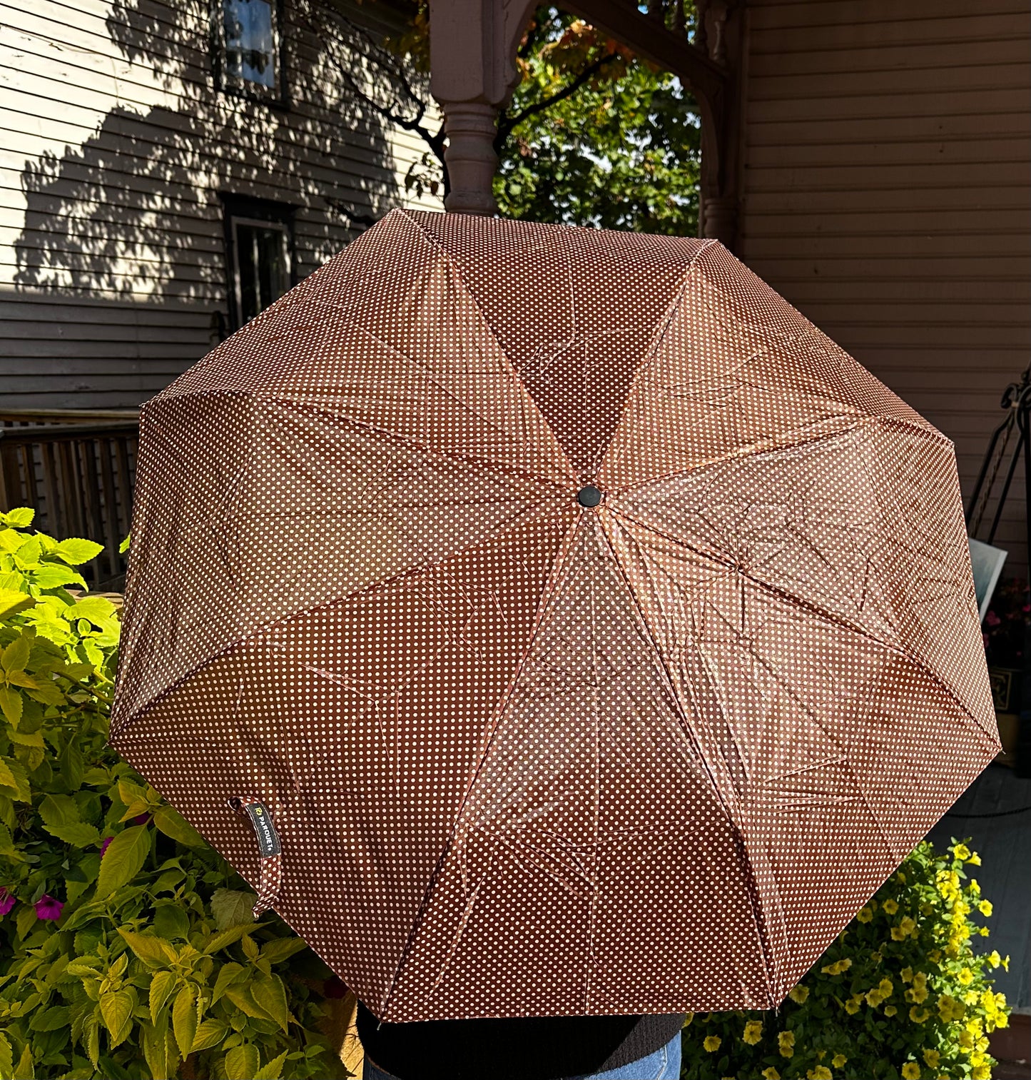 Brown/White PolkaDot Umbrella