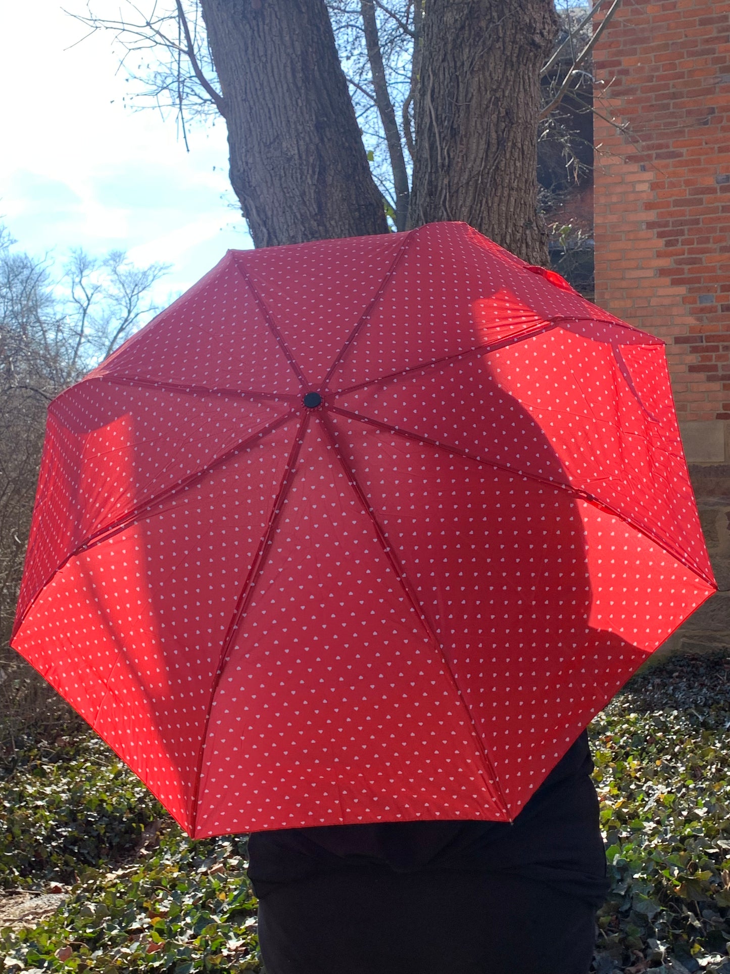 Red/White Heart Umbrella