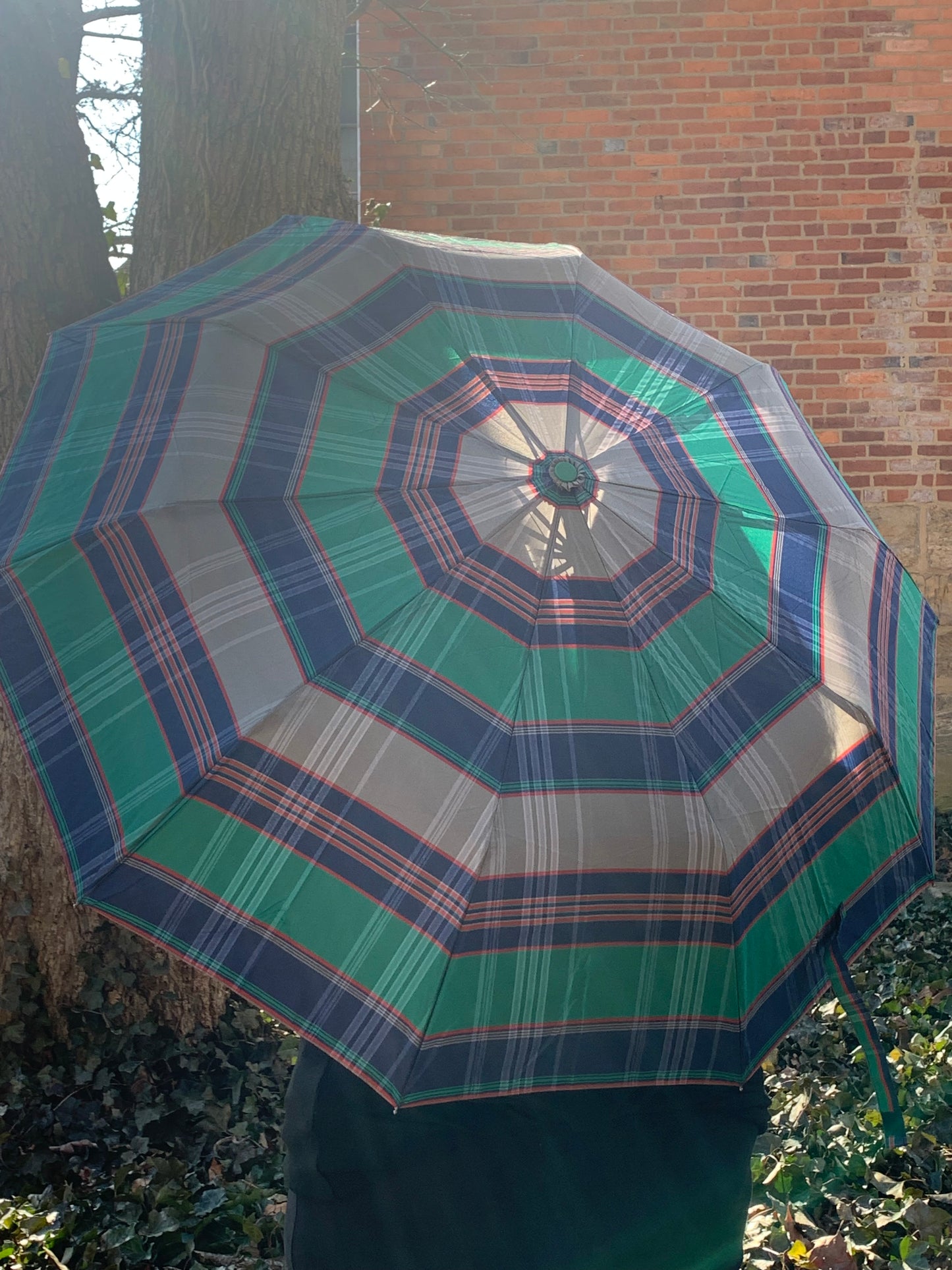 Green Compact Umbrella
